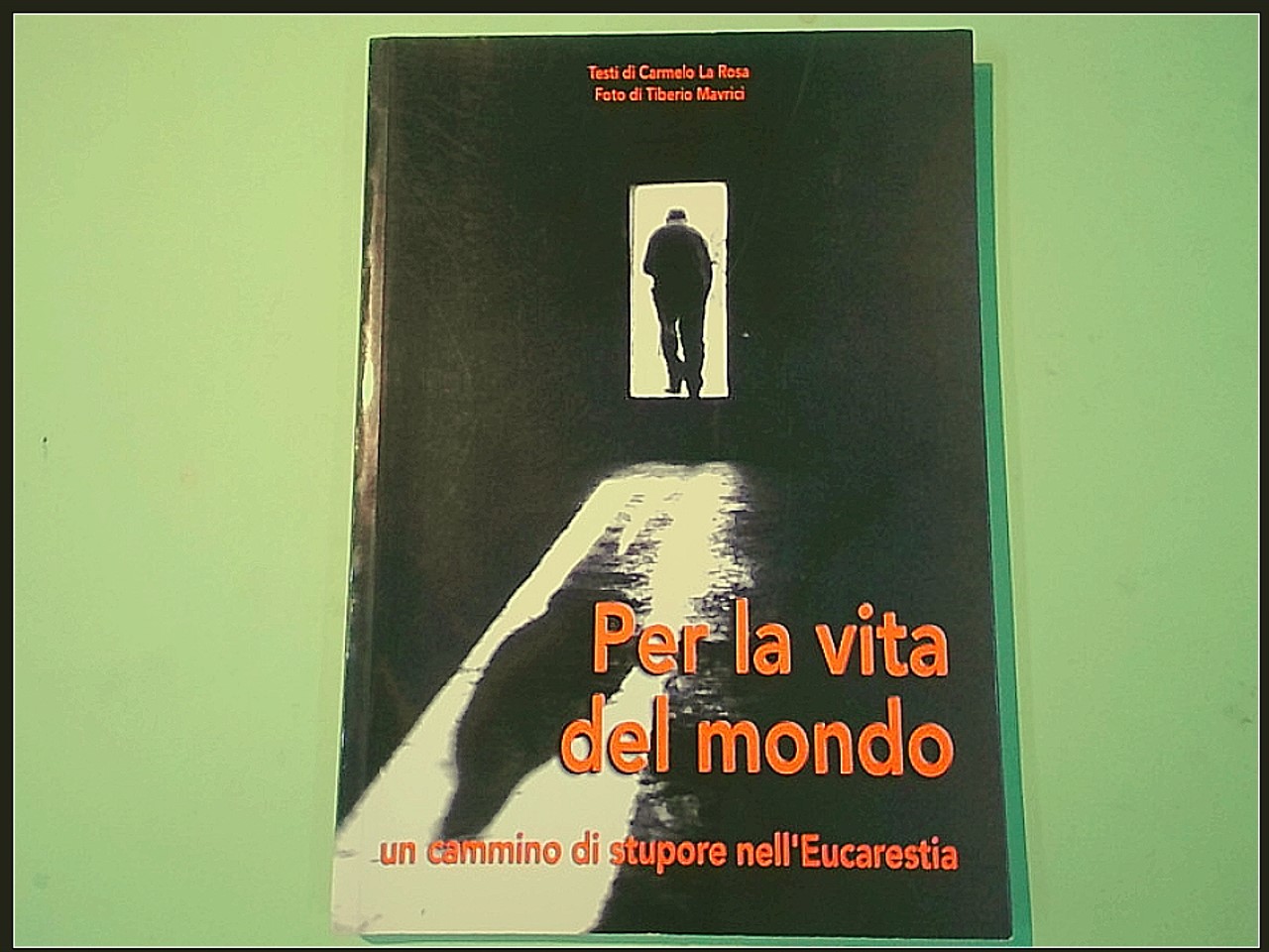 PER LA VITA DEL MONDO