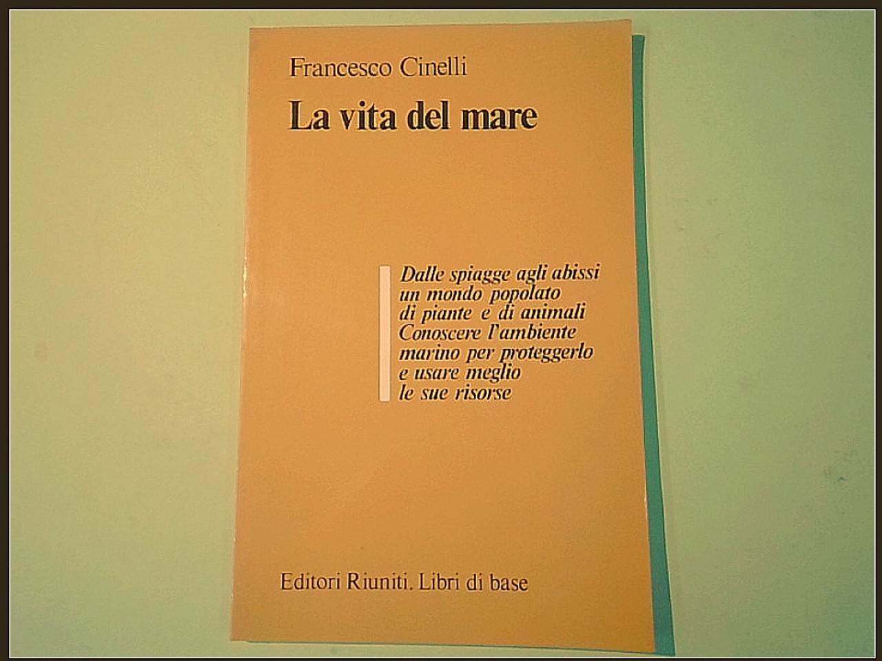 LA VITA DEL MARE