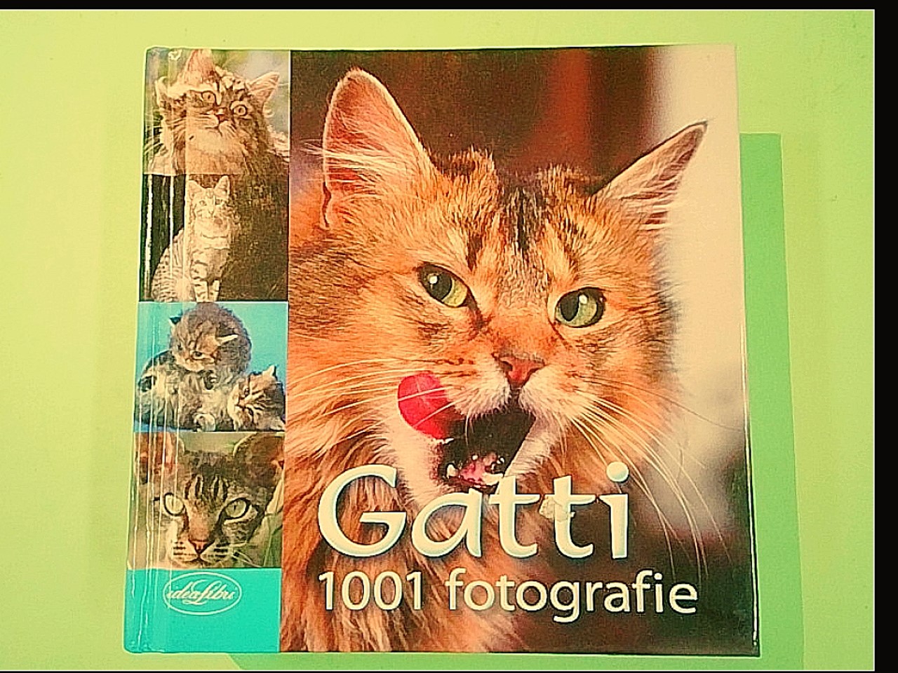 GATTI 1001 FOTOGRAFIE