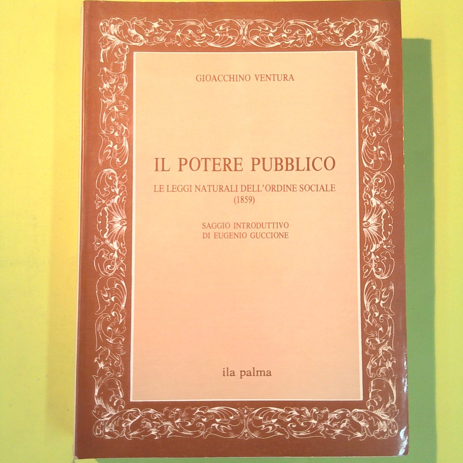 IL POTERE PUBBLICO