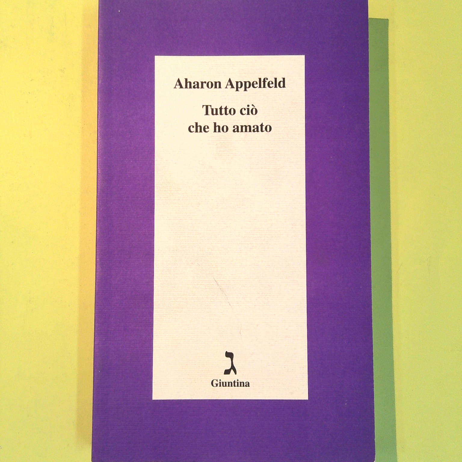 TUTTO CIÒ CHE HO AMATO