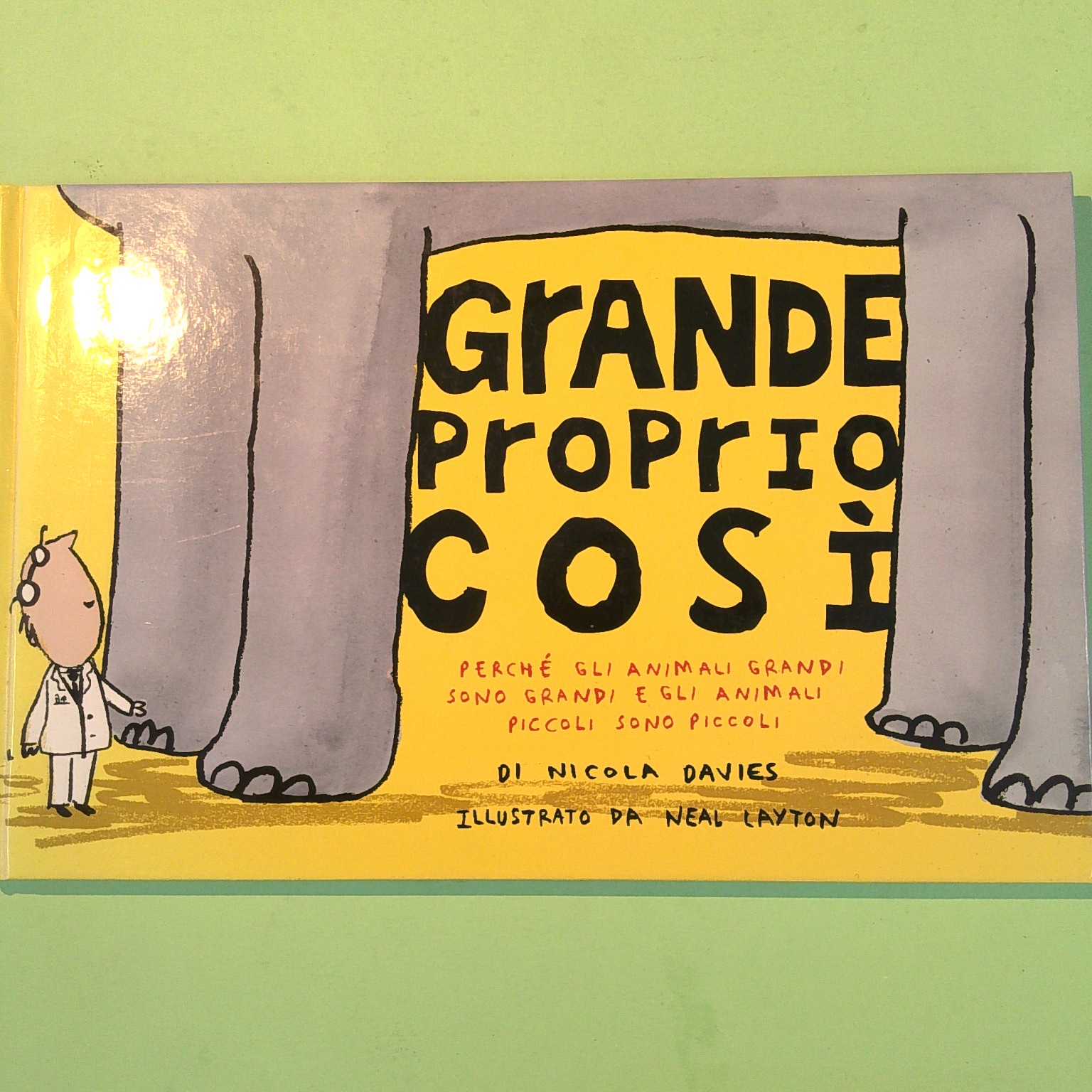 GRANDE PROPRIO COSÌ