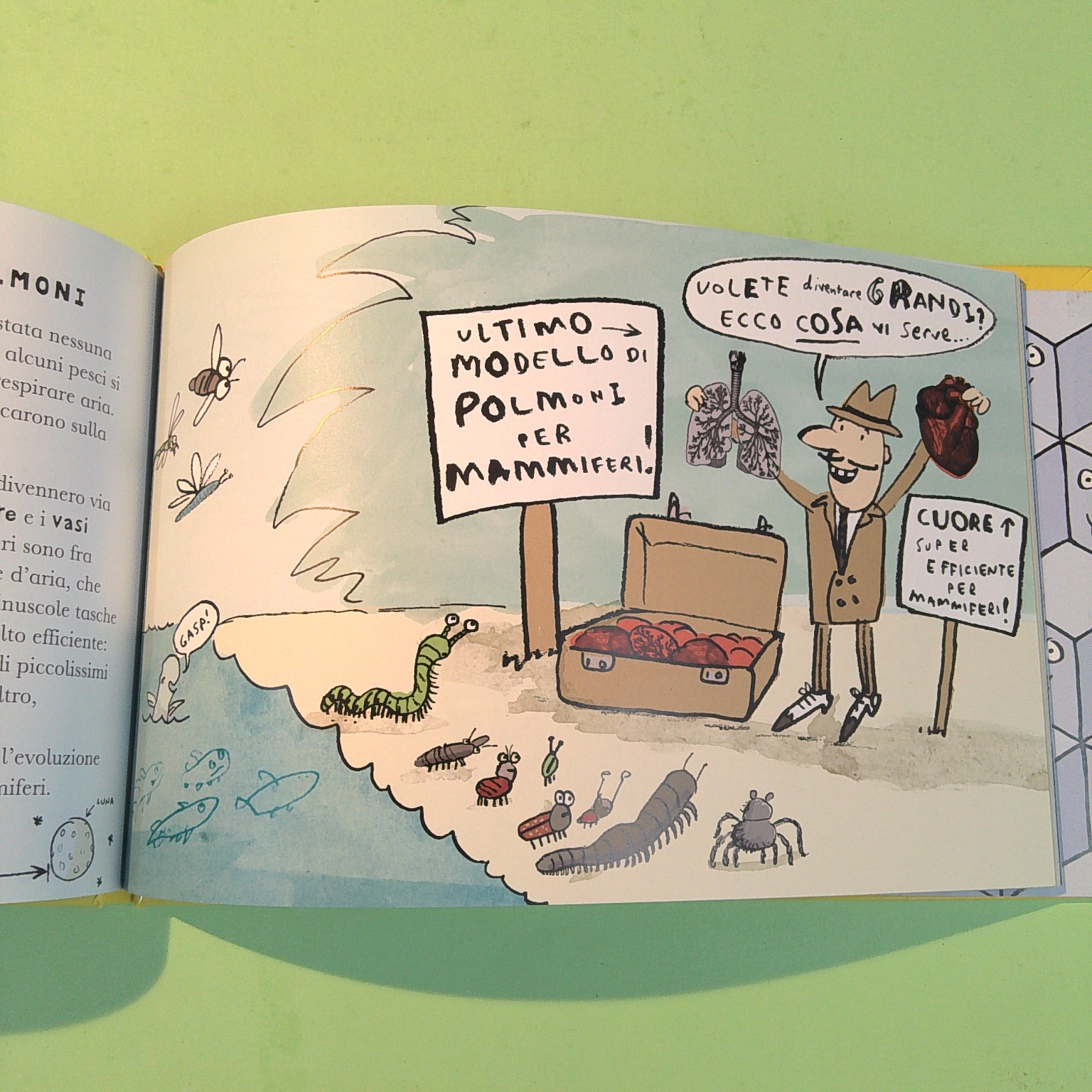 GRANDE PROPRIO COSÌ - immagine 3