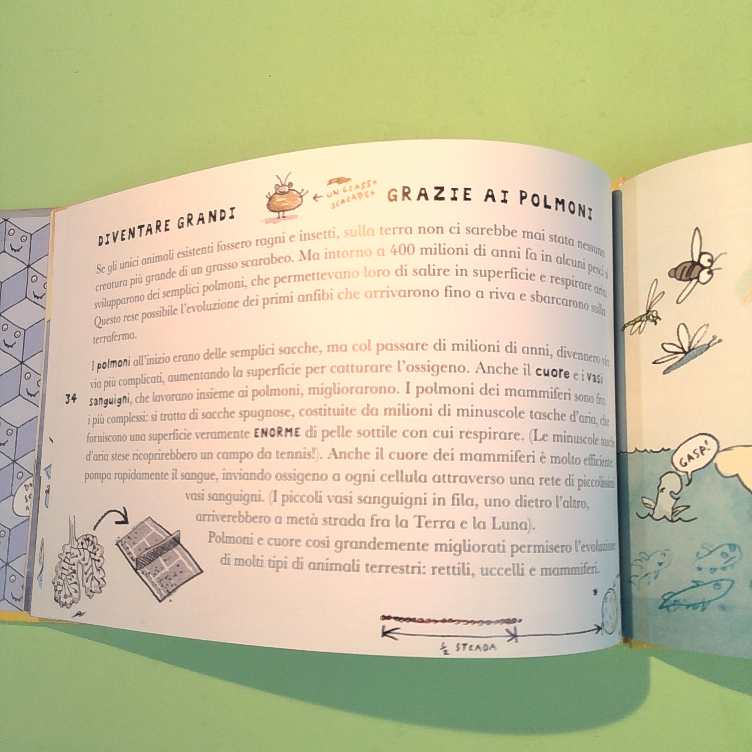 GRANDE PROPRIO COSÌ - immagine 2