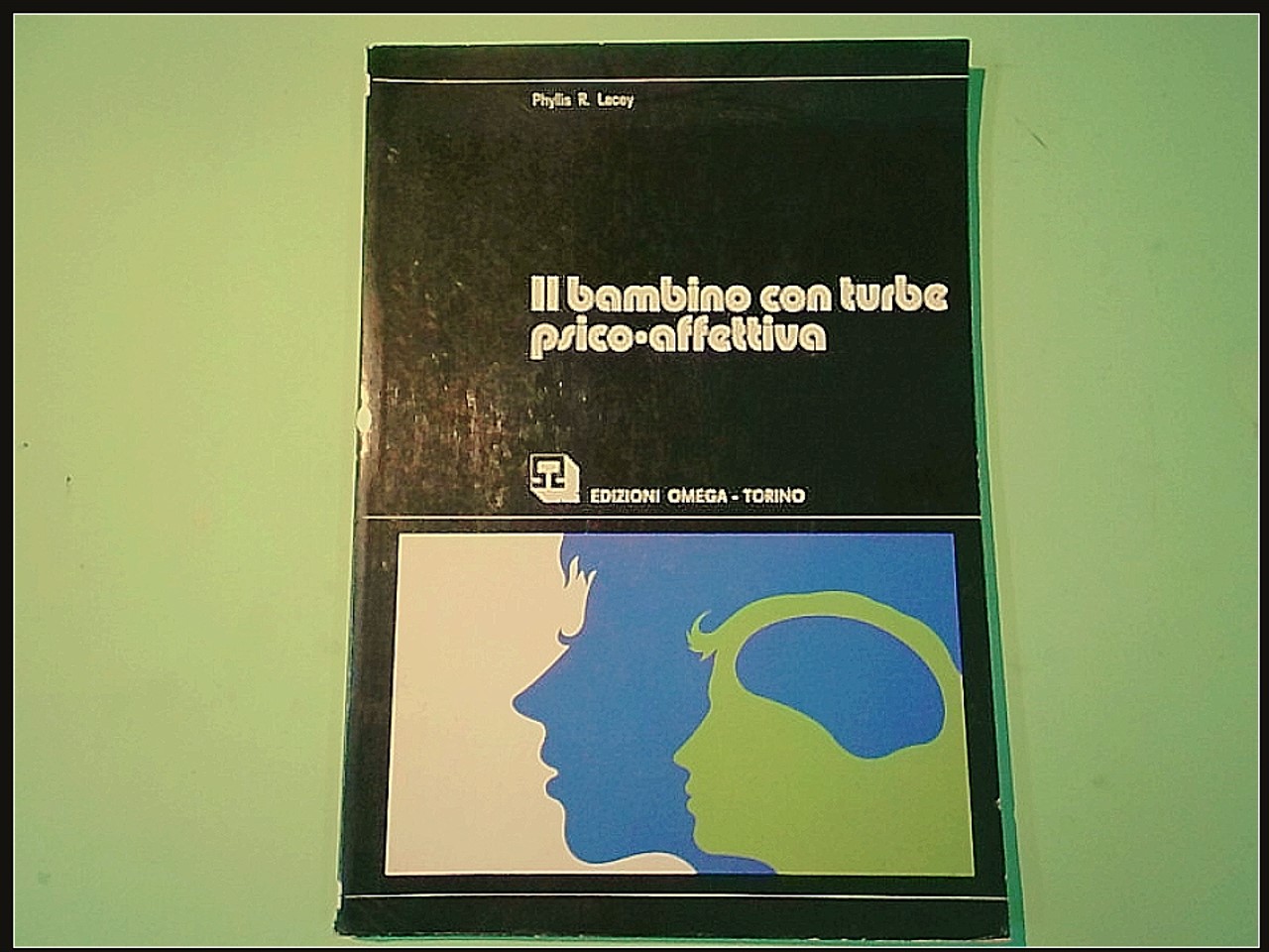 IL BAMBINO CON TURBE PSICO AFFETTIVA