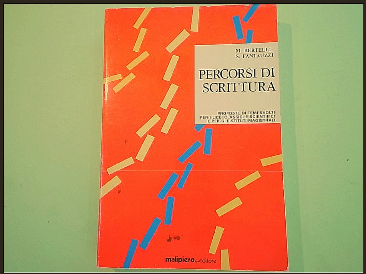 PERCORSI DI SCRITTURA TEMI SVOLTI