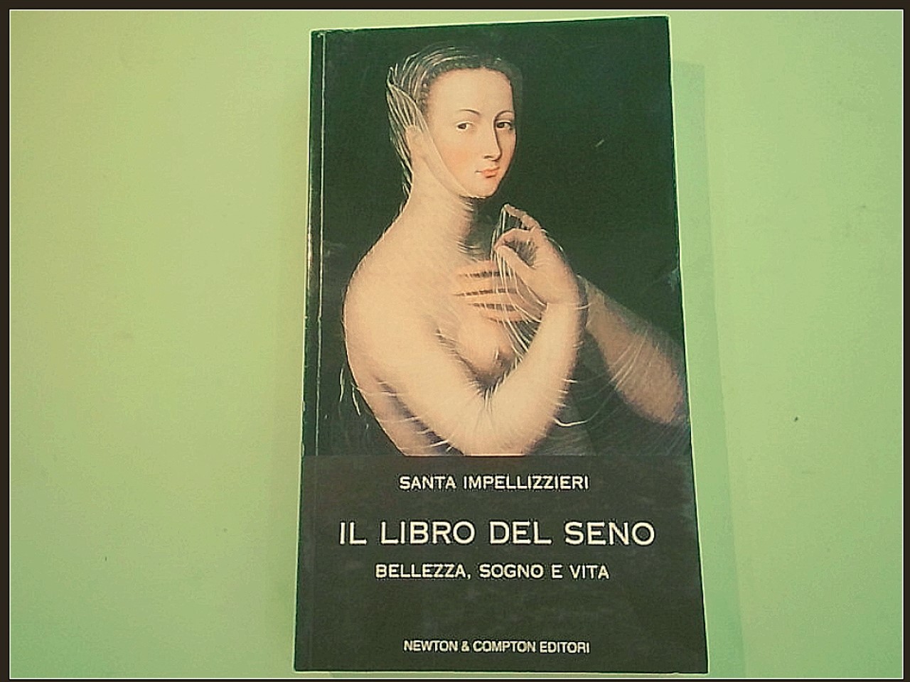 IL LIBRO DEL SENO