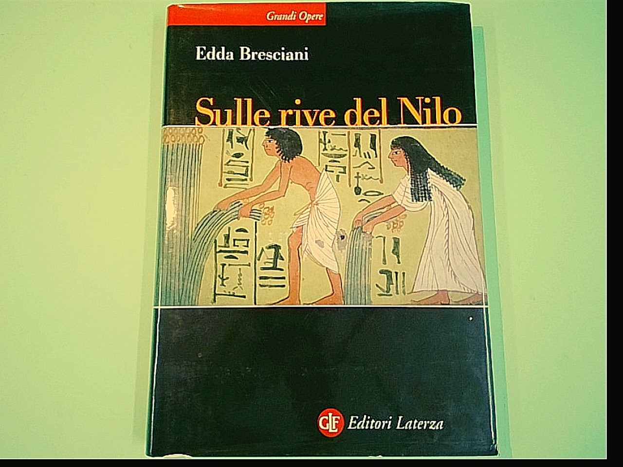 SULLE RIVE DEL NILO