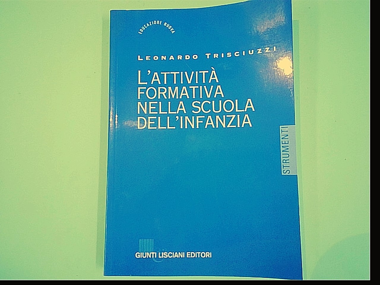 L'ATTIVITÀ FORMATIVA NELLA SCUOLA DELL'INFANZIA TRISCIUZZI GIUNTI