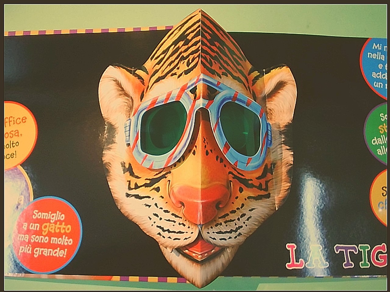 CHE ANIMALE SONO? MASCHERE POP UP - immagine 3