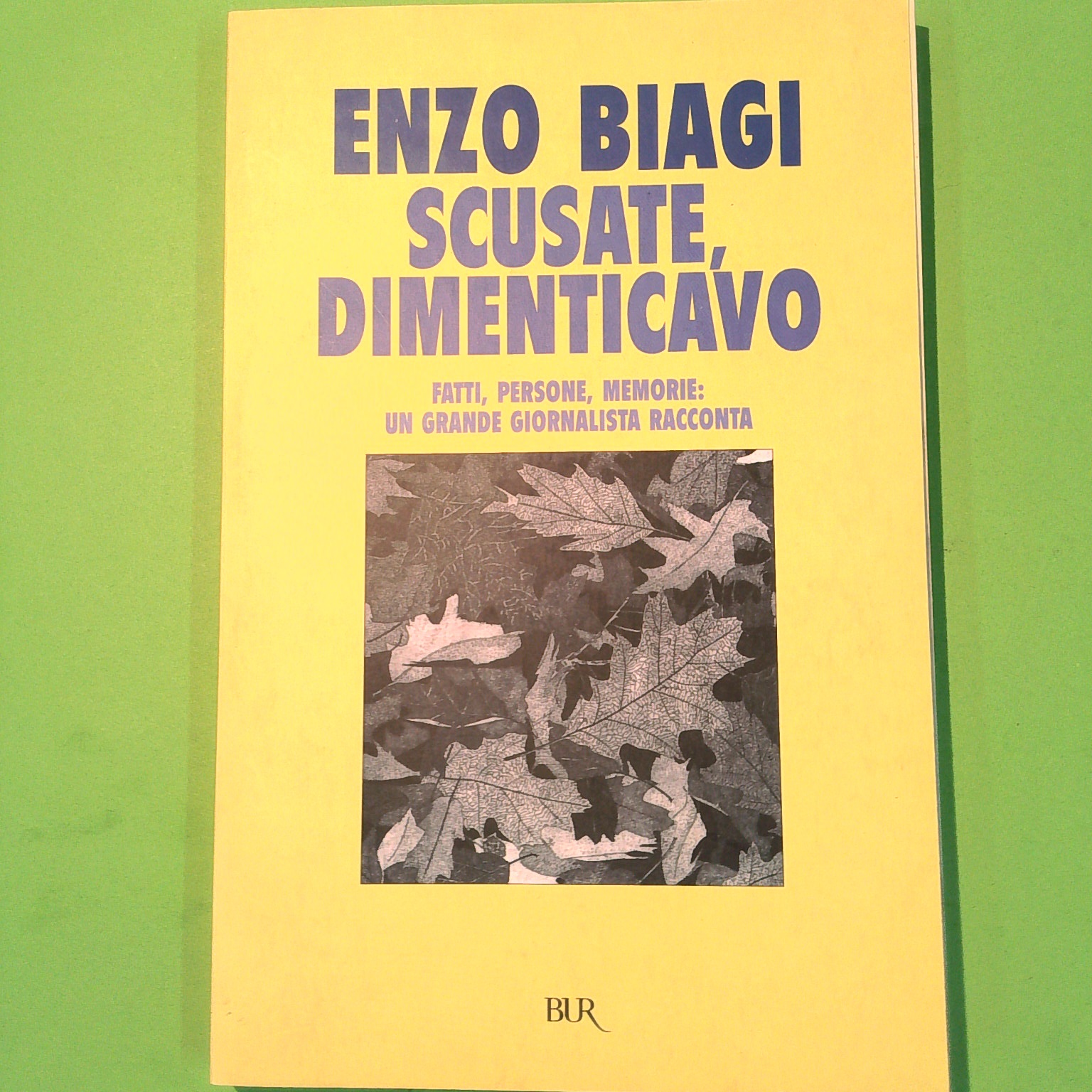 SCUSATE DIMENTICAVO