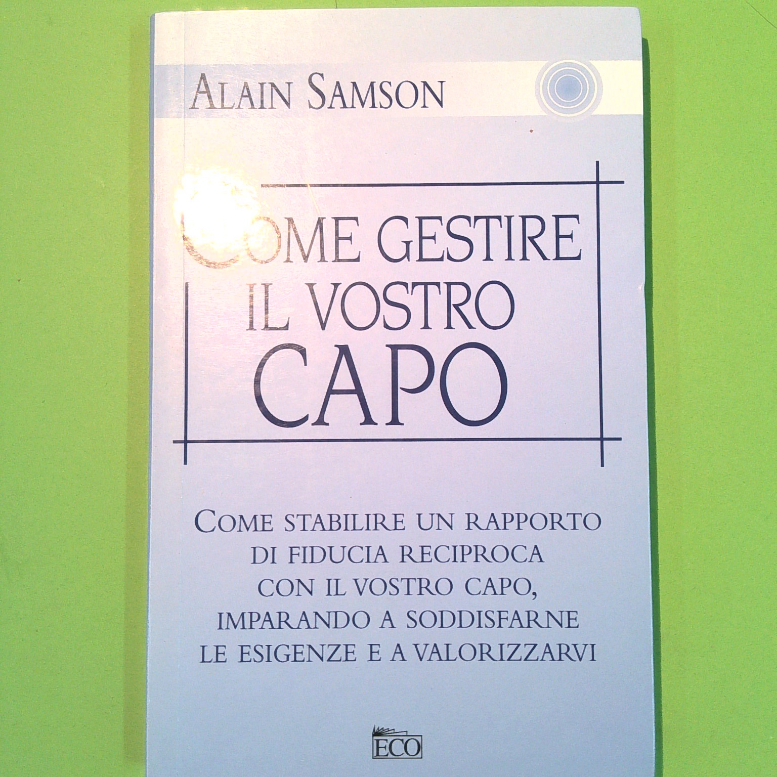 COME GESTIRE IL VOSTRO CAPO