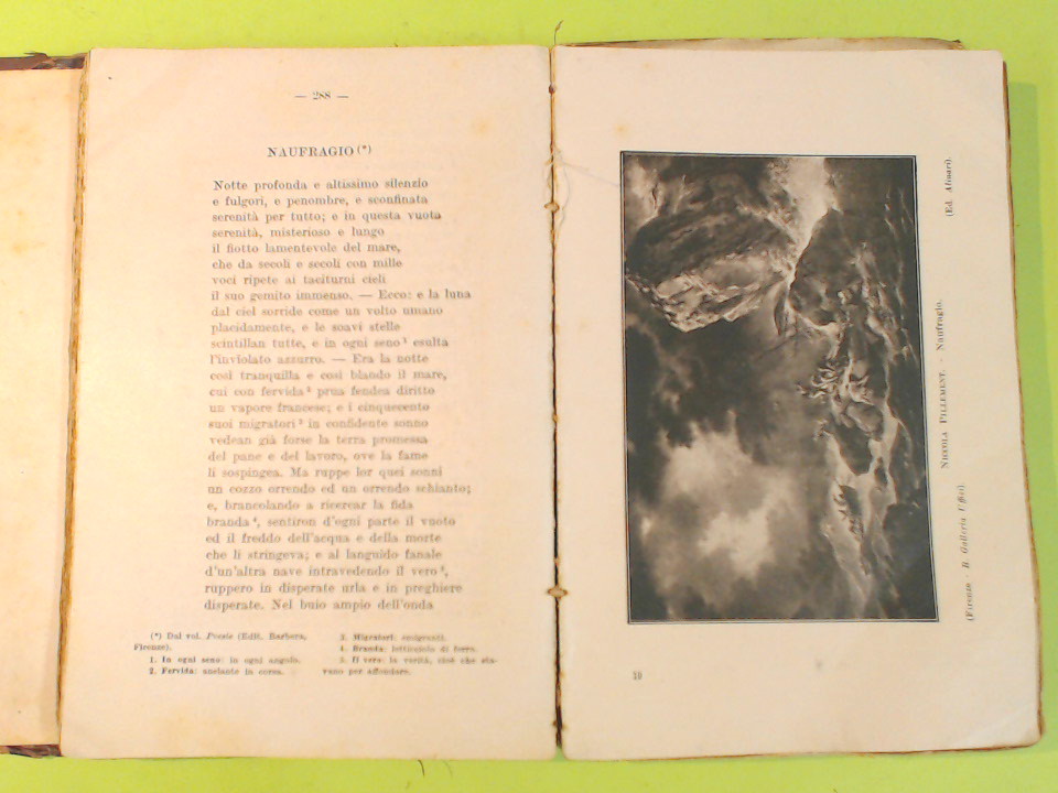 NOVA PROGENIE - immagine 5