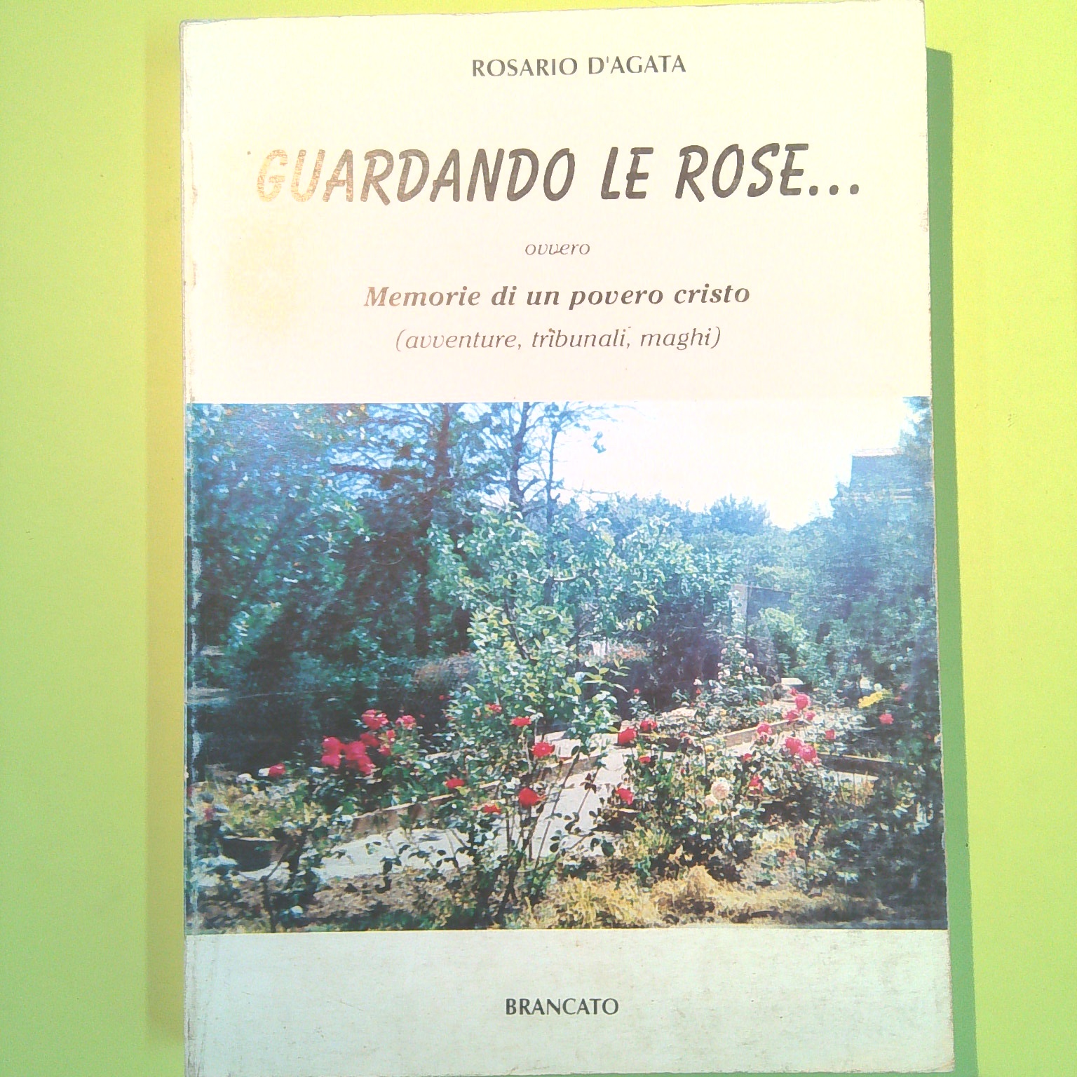 GUARDANDO LE ROSE OVVERO MEMORIE DI UN POVERO CRISTO