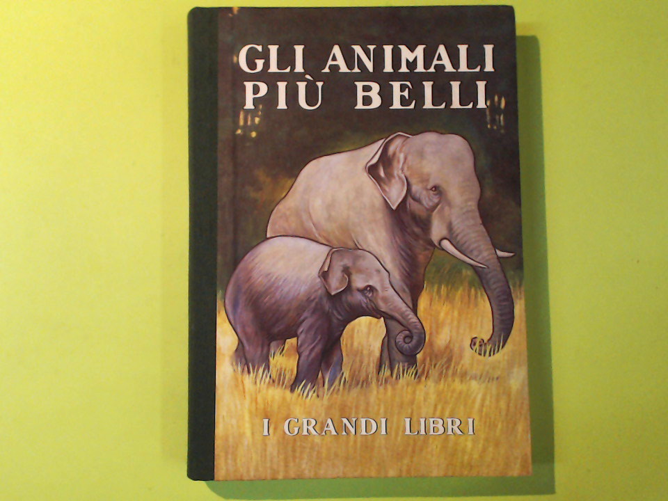 GLI ANIMALI PIU' BELLI