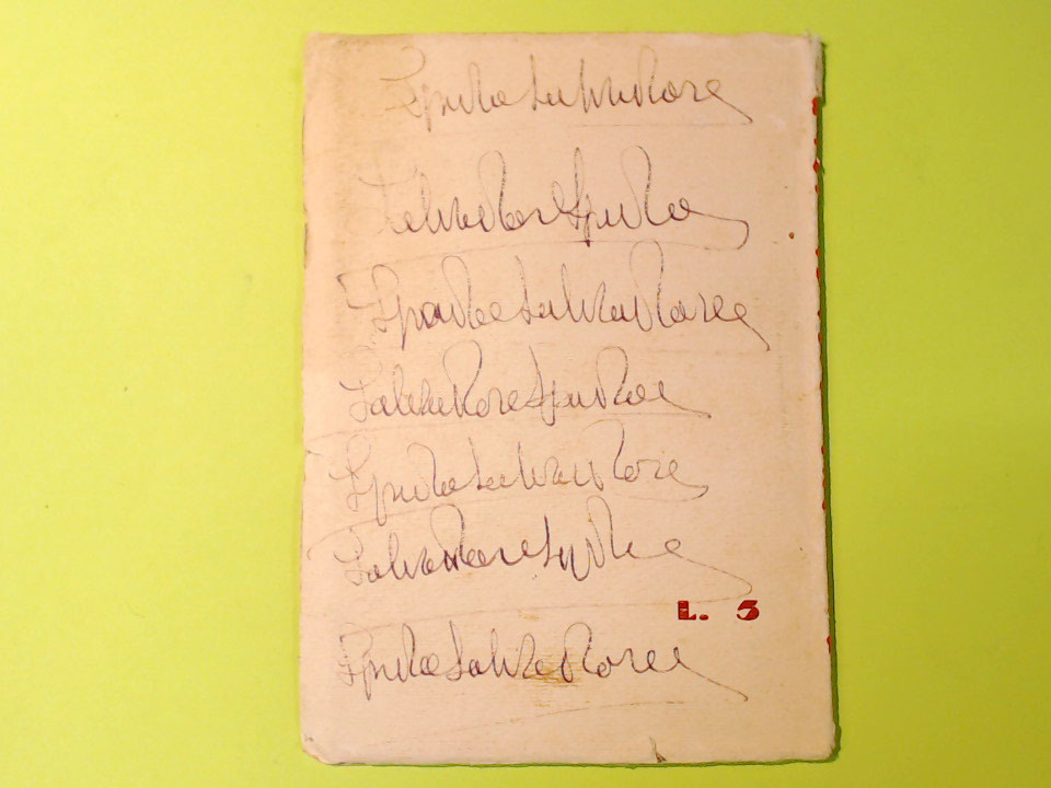 GNOSI SCHEGGE E REATTIVI DI PENSIERO - immagine 2