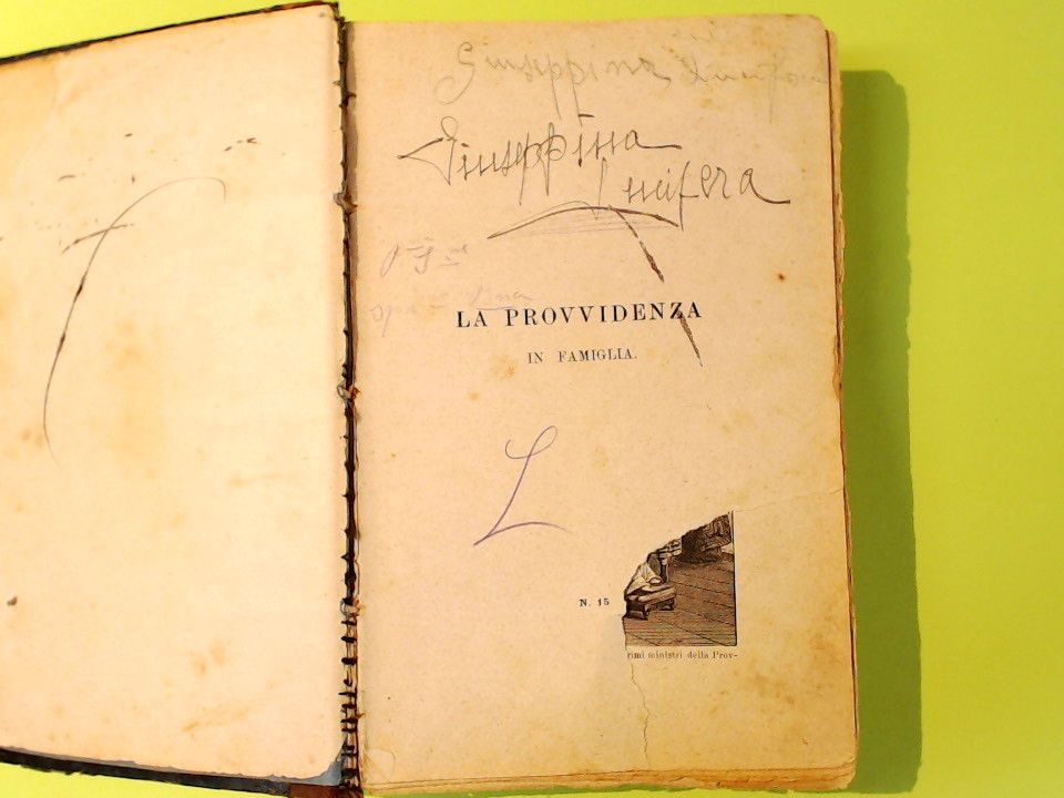 LA PROVVIDENZA IN FAMIGLIA - immagine 3