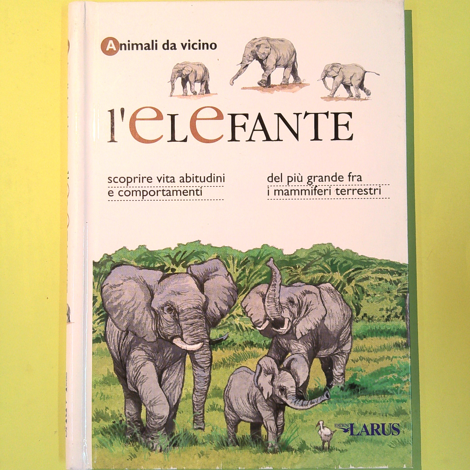 L'ELEFANTE