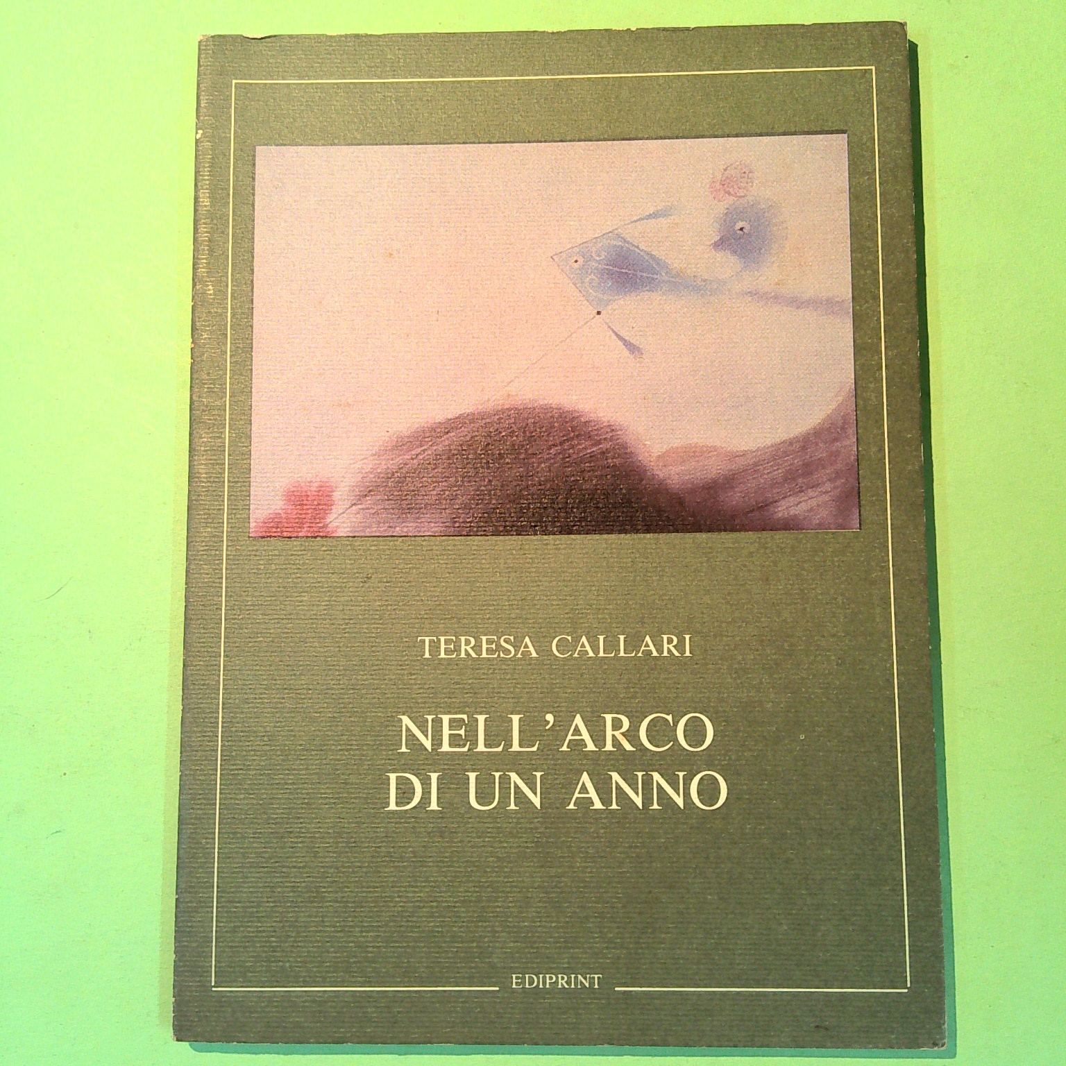 NELL'ARCO DI UN ANNO