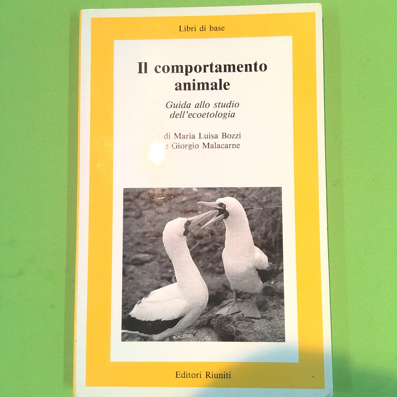 IL COMPORTAMENTO ANIMALE