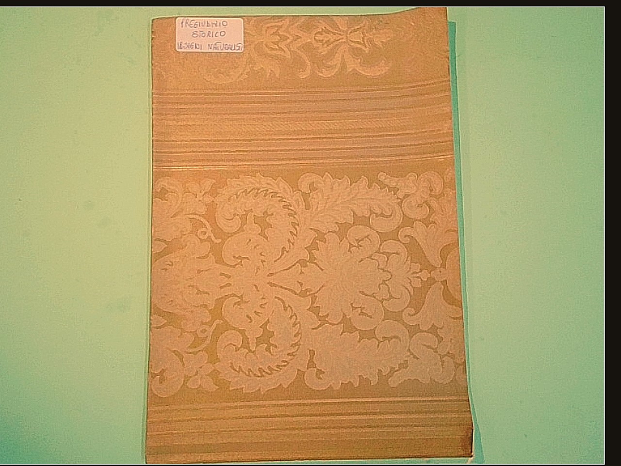 UN PREGIUDIZIO STORICO INTORNO AI PIÙ INSIGNI NATURALISTI