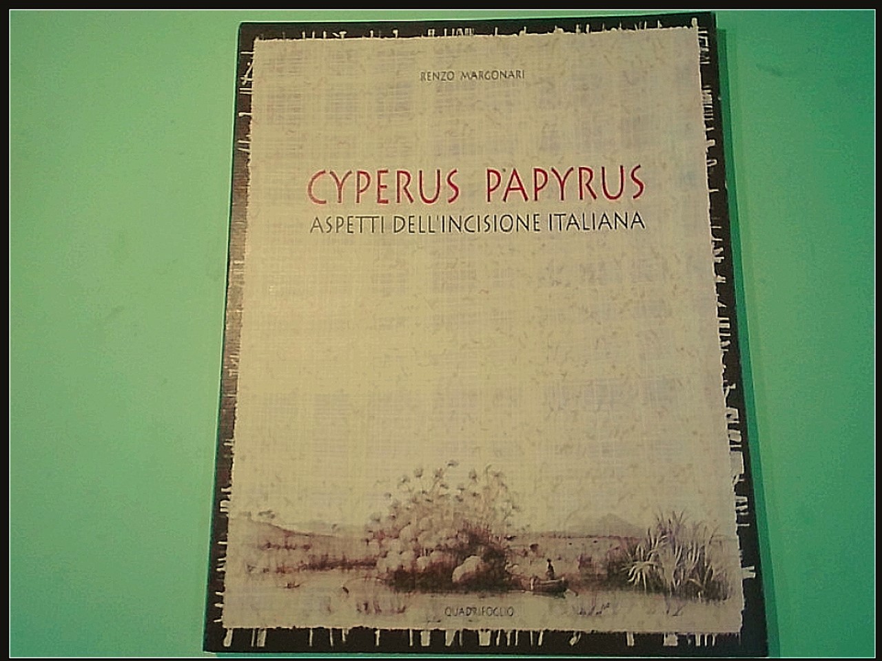 CYPERUS PAPYRUS ASPETTI DELL'INCISIONE ITALIANA