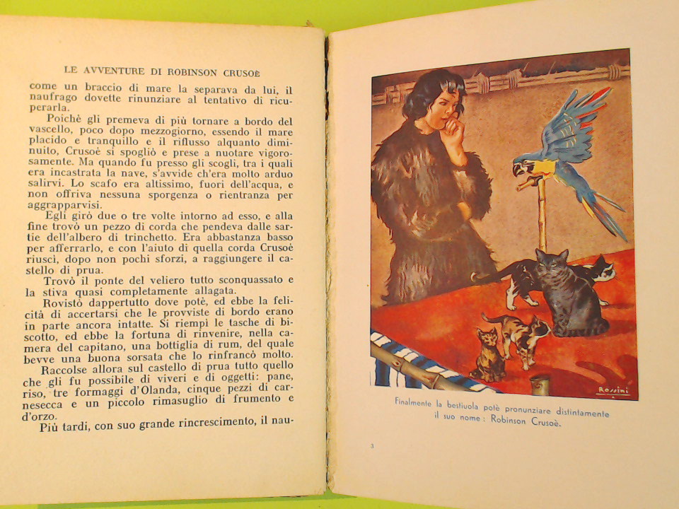 LE AVVENTURE DI ROBINSON CRUSOE - immagine 4