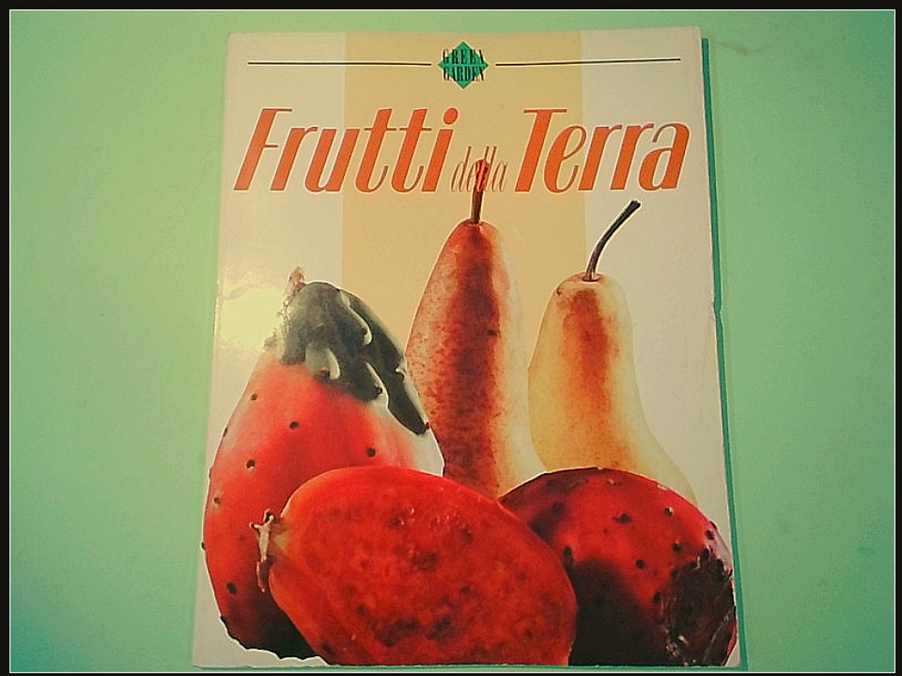 FRUTTI DELLA TERRA