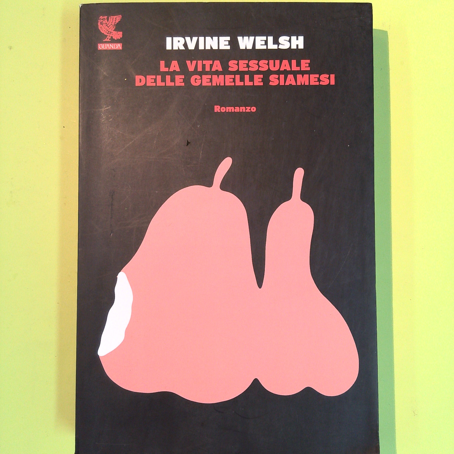 LA VITA SESSUALE DELLE GEMELLE SIAMESI