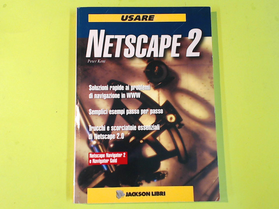 USARE NETSCAPE 2