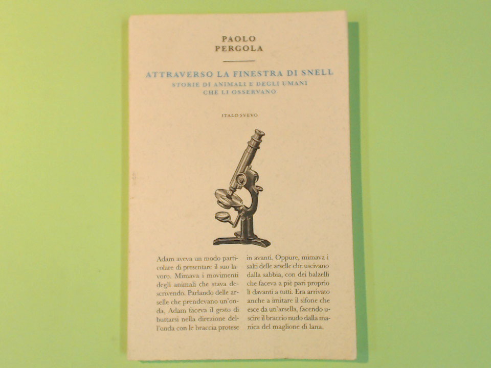 ATTRAVERSO LA FINESTRA DI SNELL