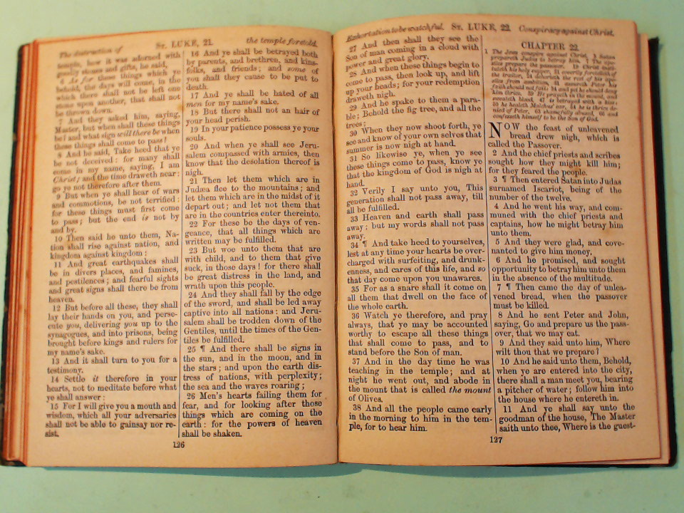 THE NEW TESTAMENT - immagine 4