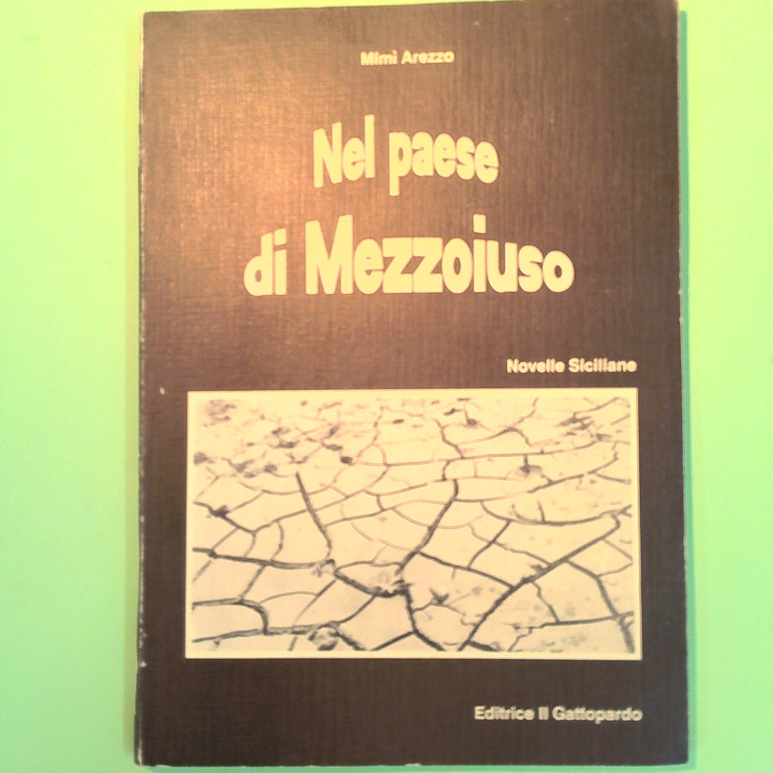 NEL PAESE DI MEZZOIUSO