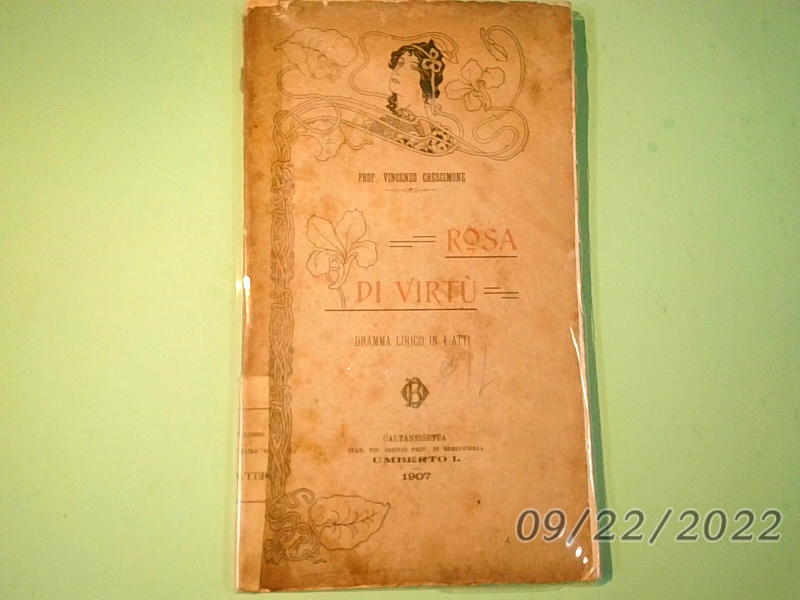 ROSA DI VIRTÙ