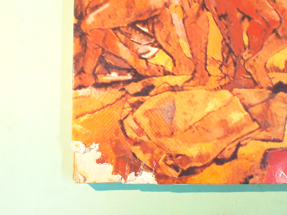 UN APOSTOLO DELLA CARITÀ - immagine 2