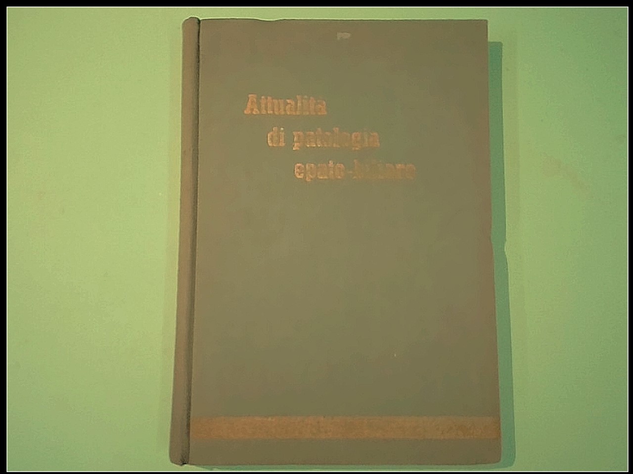 ATTUALITÀ DI PATOLOGIA EPATO BILIARE