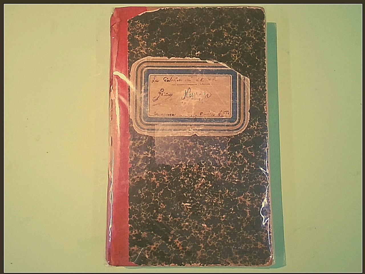 LA PALESTRA DEL CARABINIERE REALE