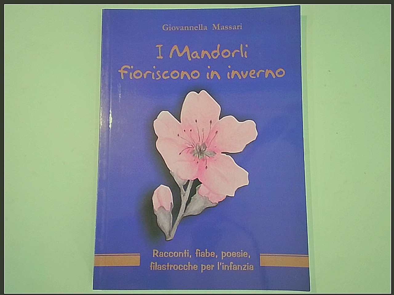 I MANDORLI FIORISCONO IN INVERNO