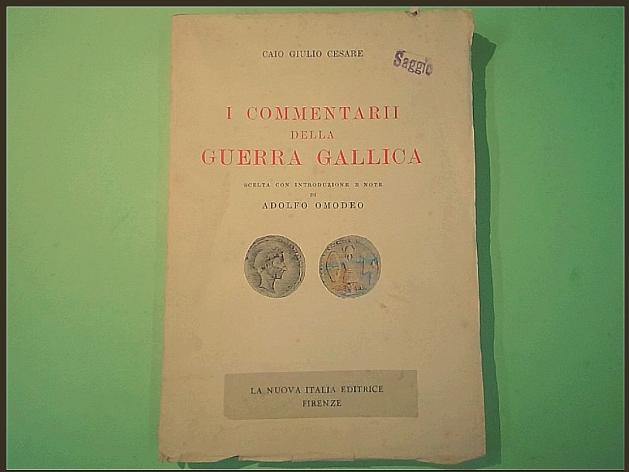 I COMMENTARII DELLA GUERRA GALLICA
