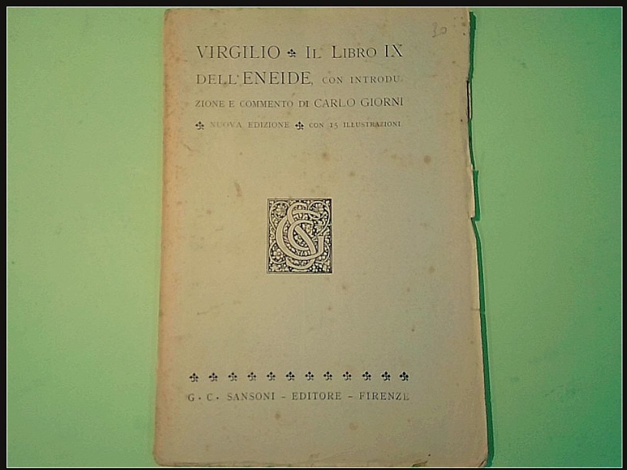 IL LIBRO IX DELL'ENEIDE