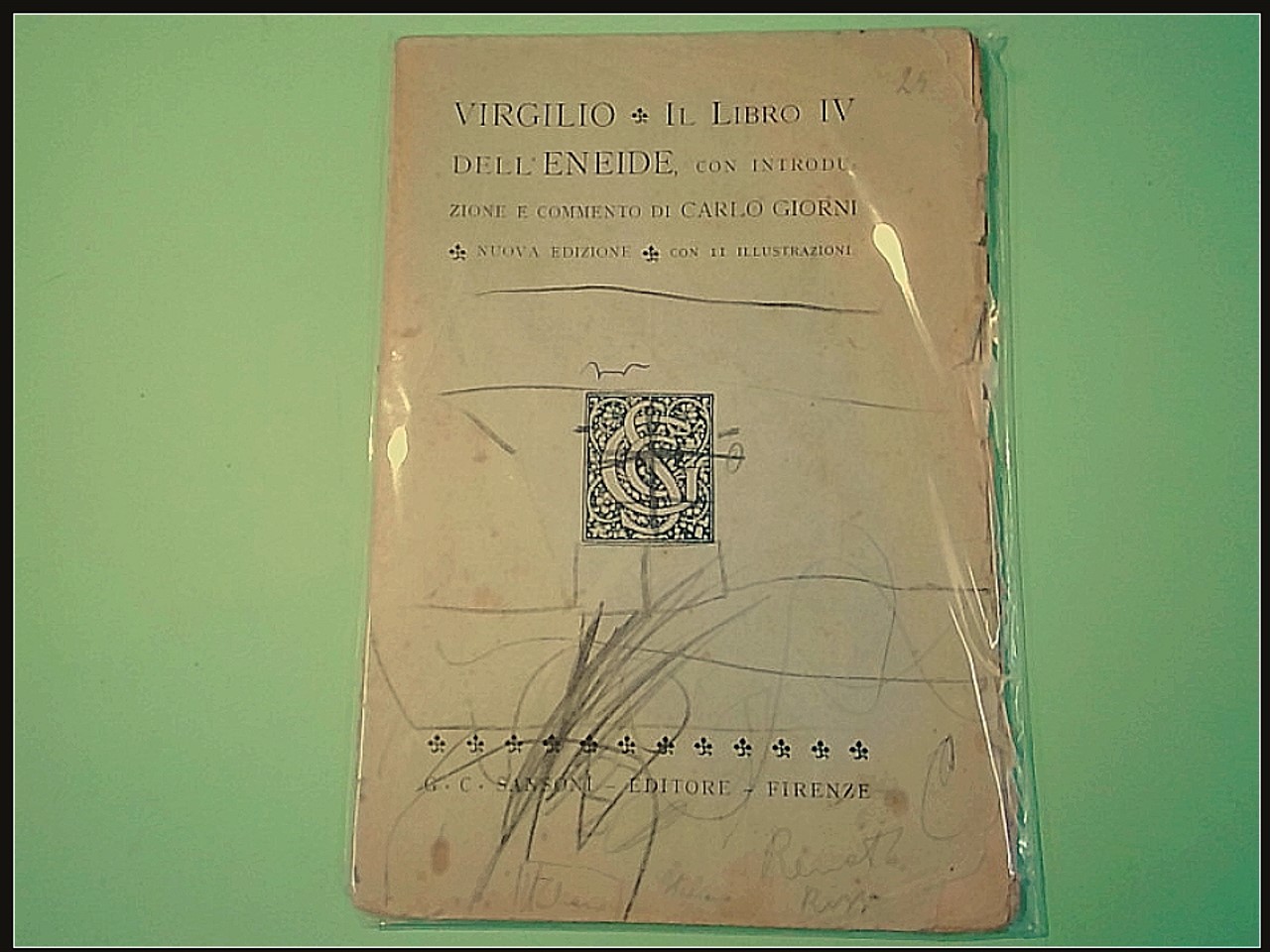 IL LIBRO IV DELL'ENEIDE