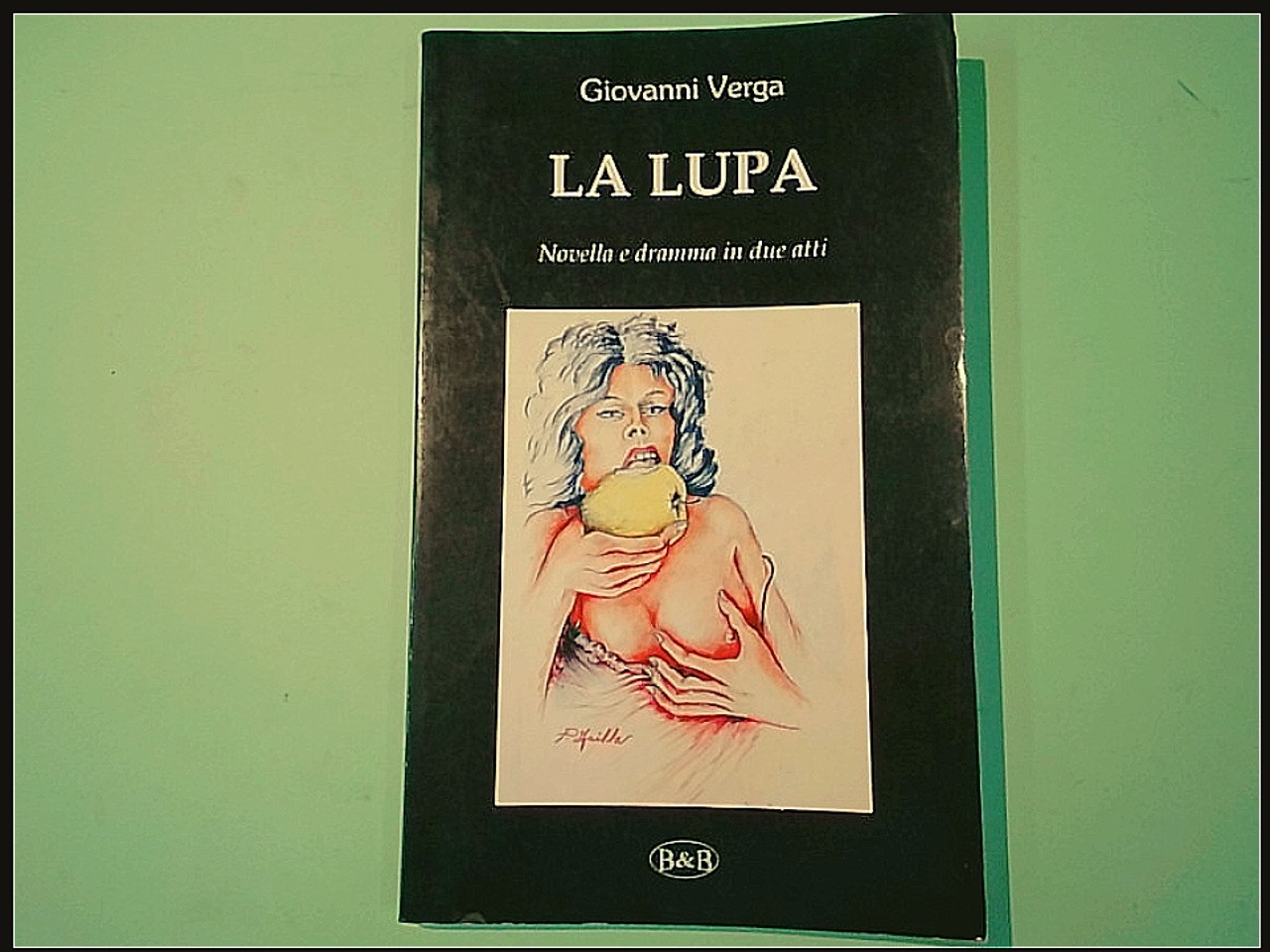LA LUPA