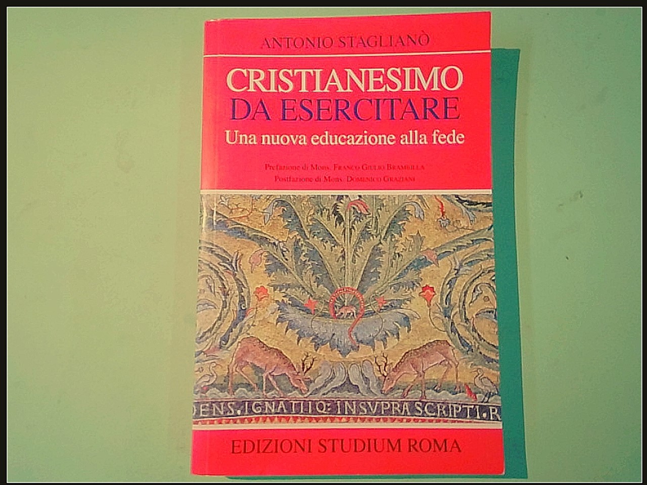 CRISTIANESIMO DA ESERCITARE