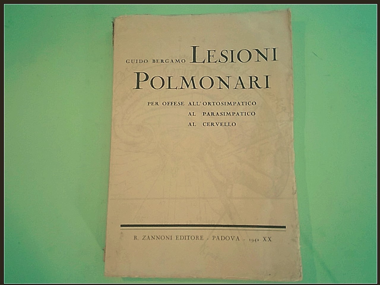 LESIONI POLMONARI