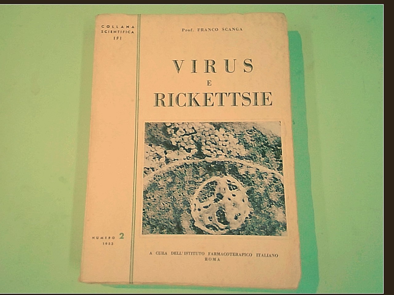 VIRUS E RICKETTSIE