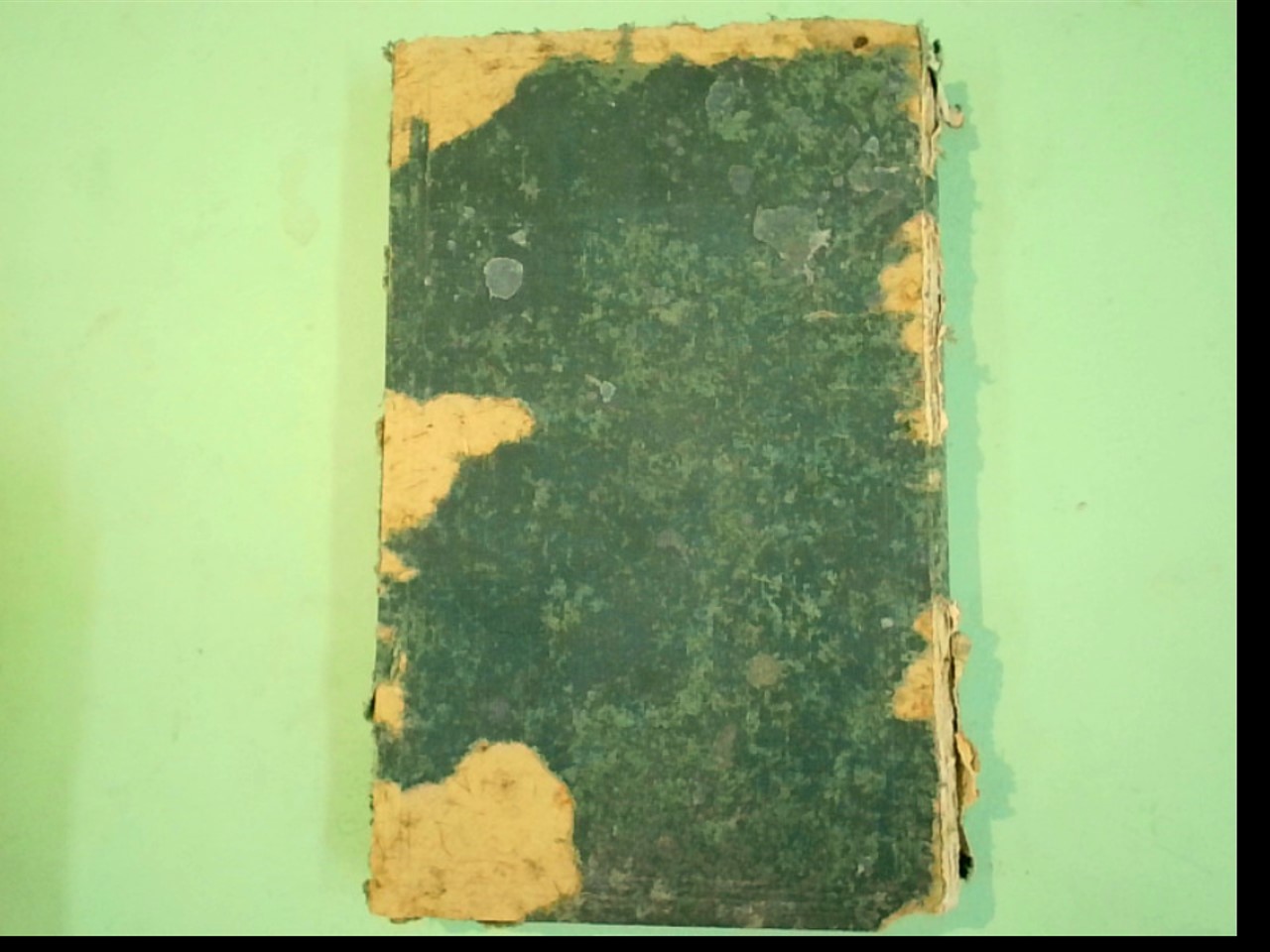 LE NIL SON BASSIN ET SES SOURCES - immagine 2