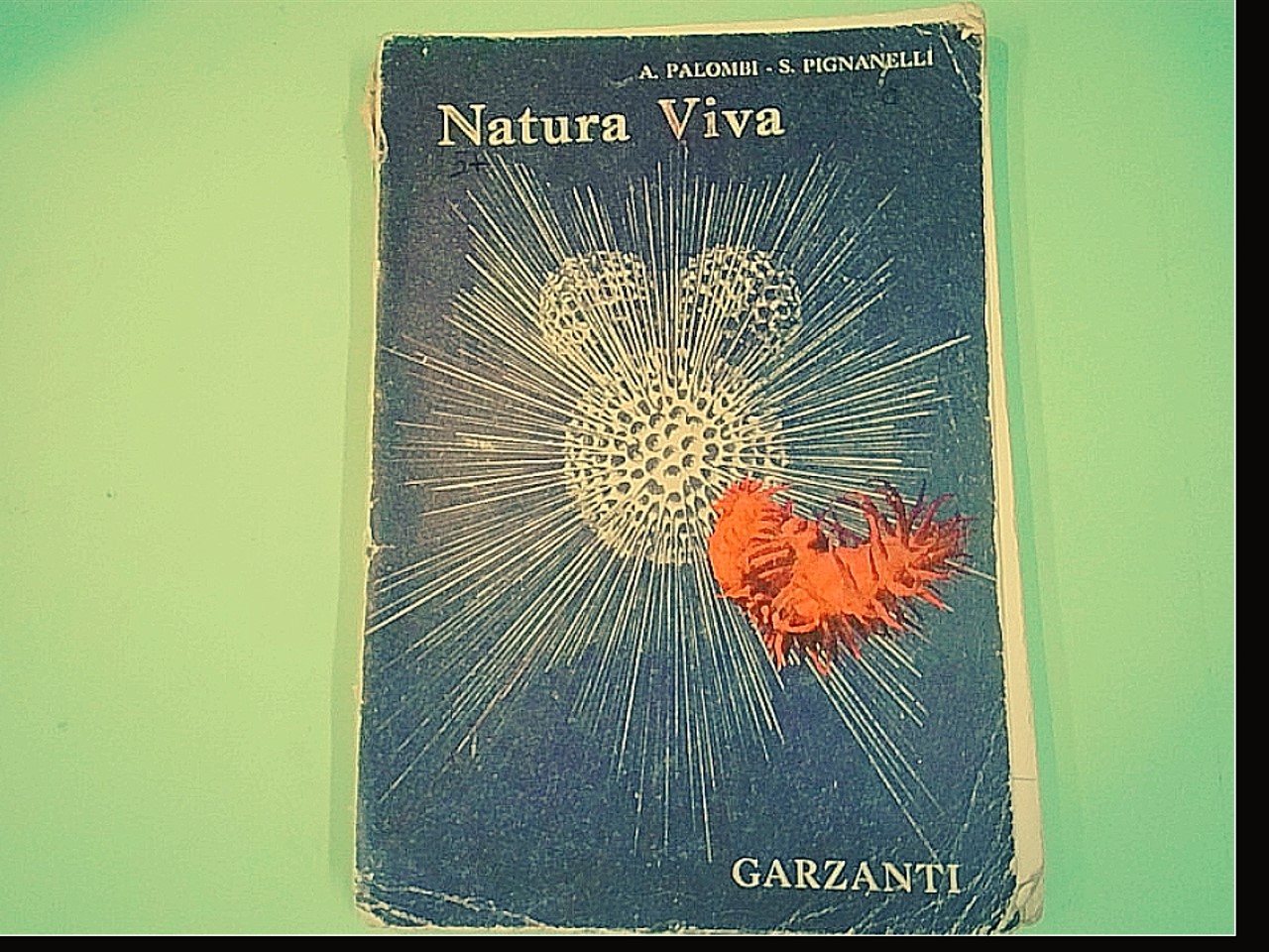 NATURA VIVA VOL II