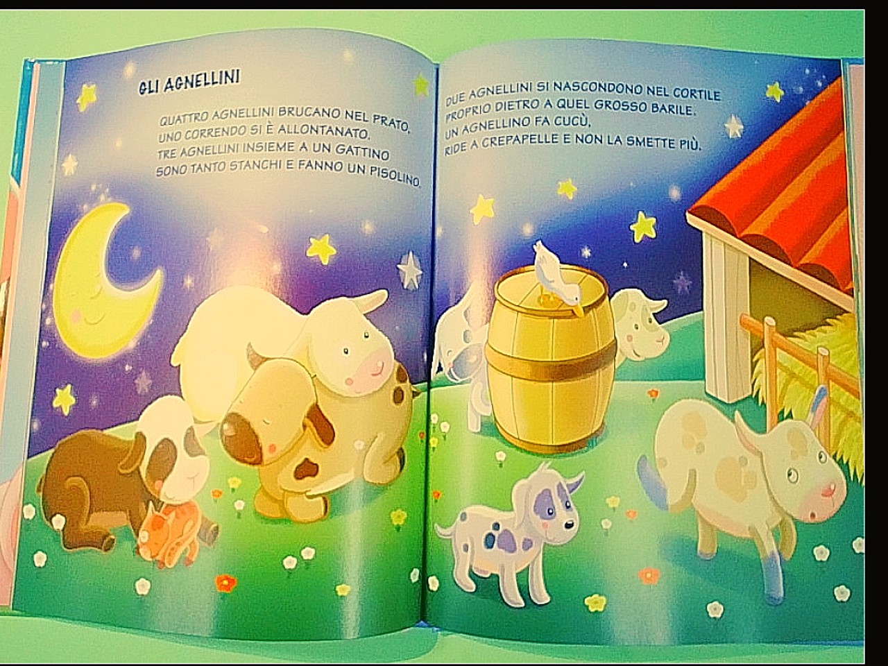 IL GRANDE LIBRO DELLE FILASTROCCHE - immagine 2