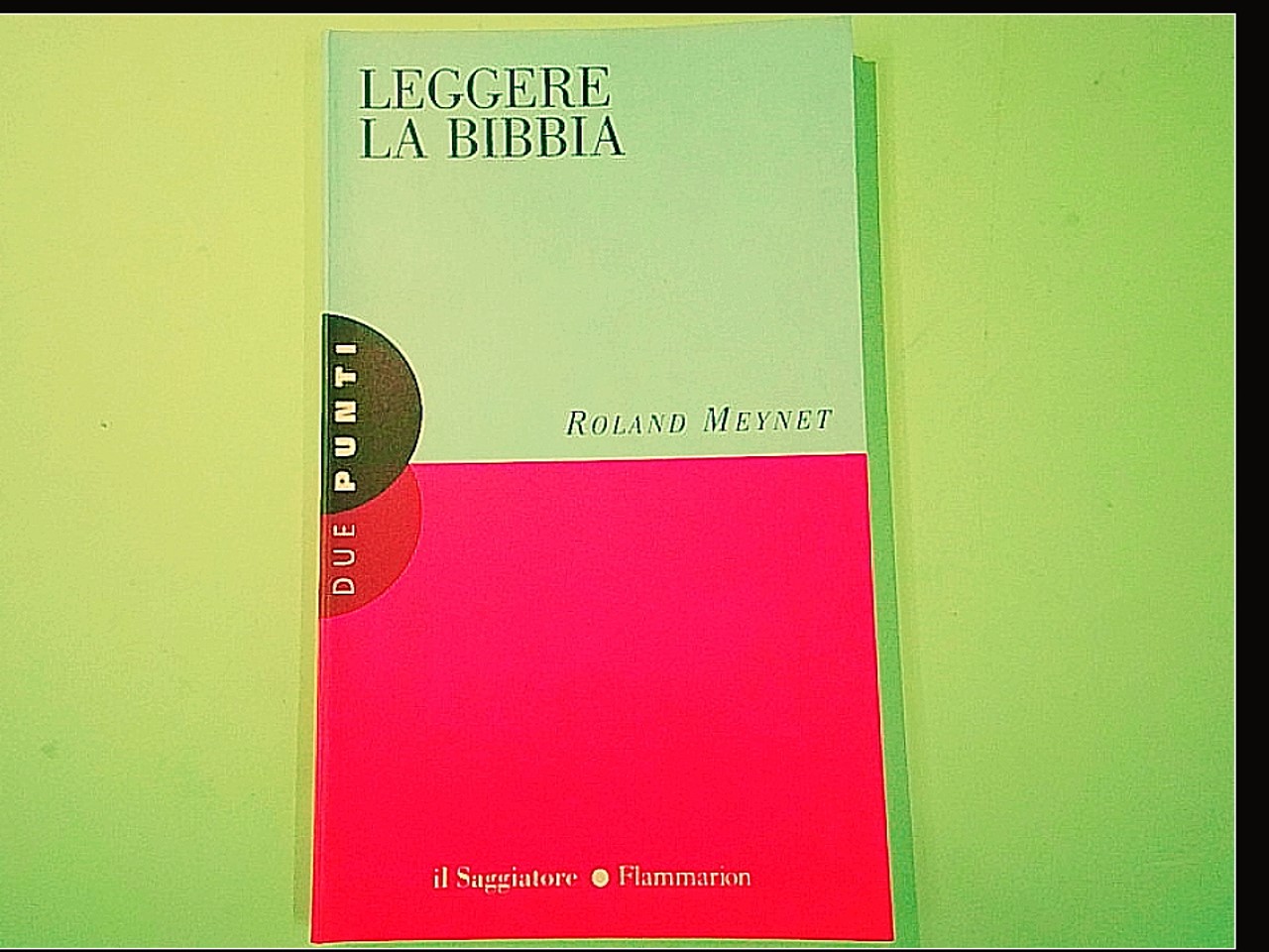 LEGGERE LA BIBBIA