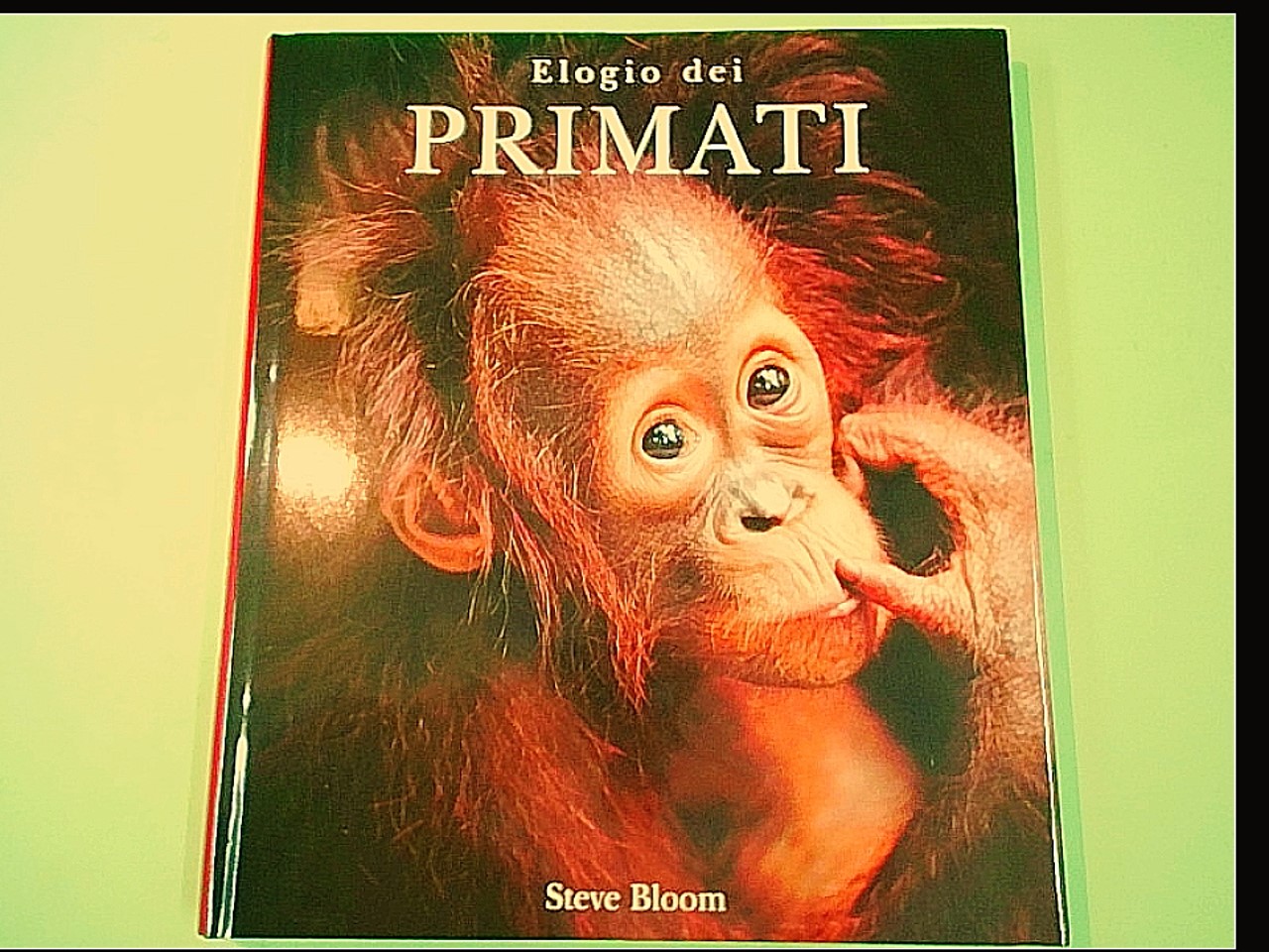 ELOGIO DEI PRIMATI